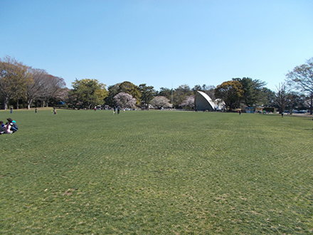 スポーツ